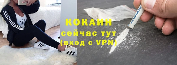 гидра Арсеньев