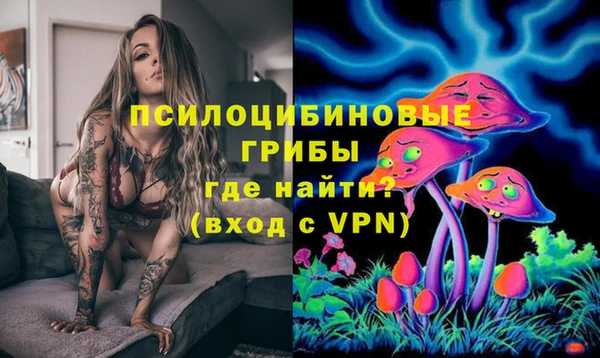 гидра Арсеньев