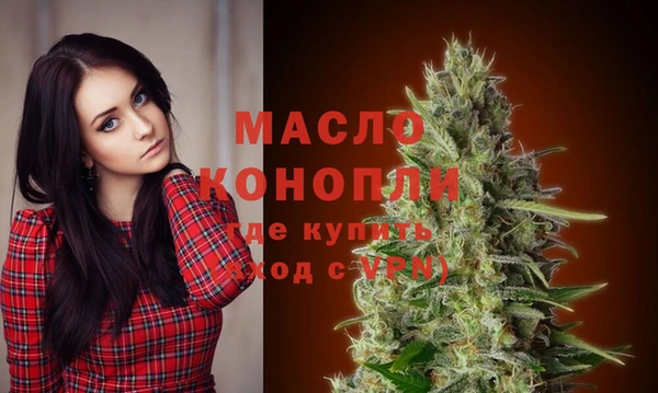гидра Арсеньев
